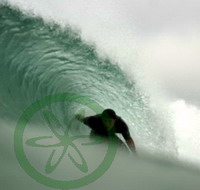 image: Mikey Peyton gettin' shacked during break time at work, Pensacola Beach surfing