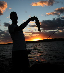 image: Nik McCue catches a nice largemouth bass with a topwater at sunset over Kaw Lake, OK